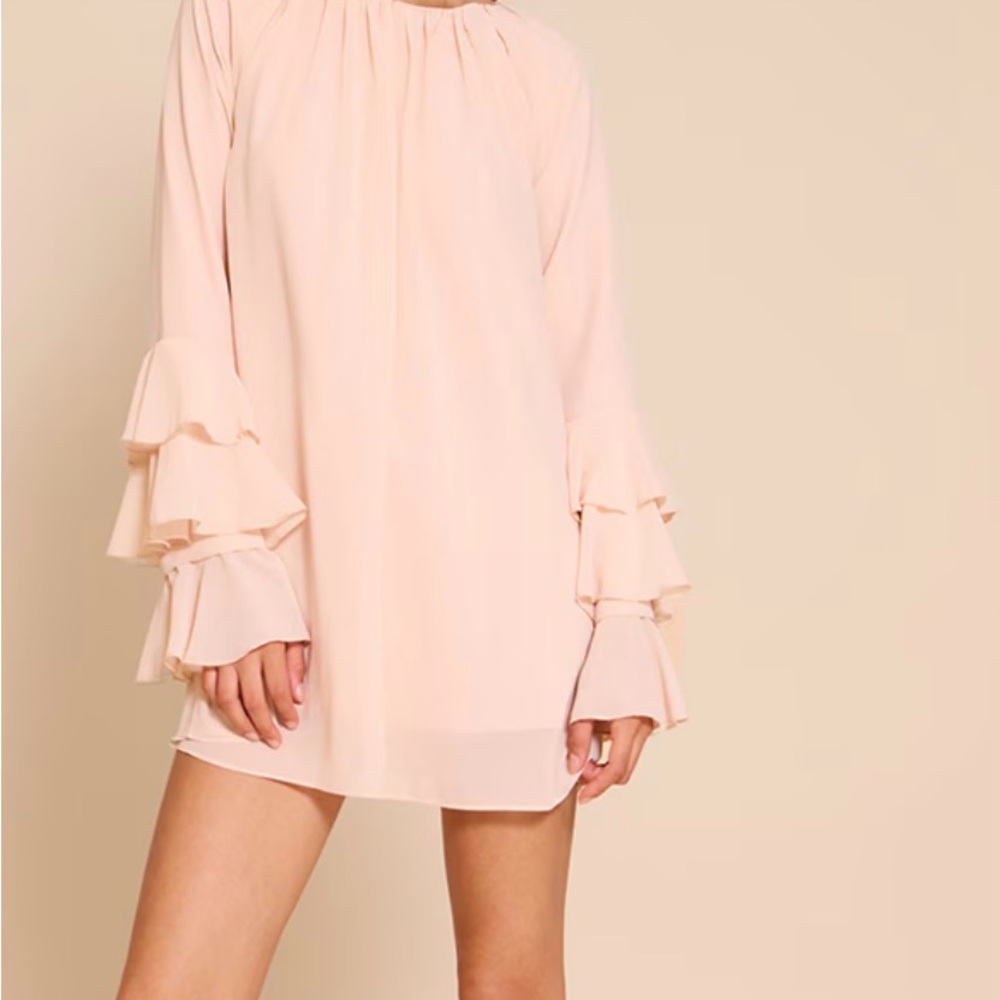 Greylin Soft Pink Long Sleeve Dress with Ruffles